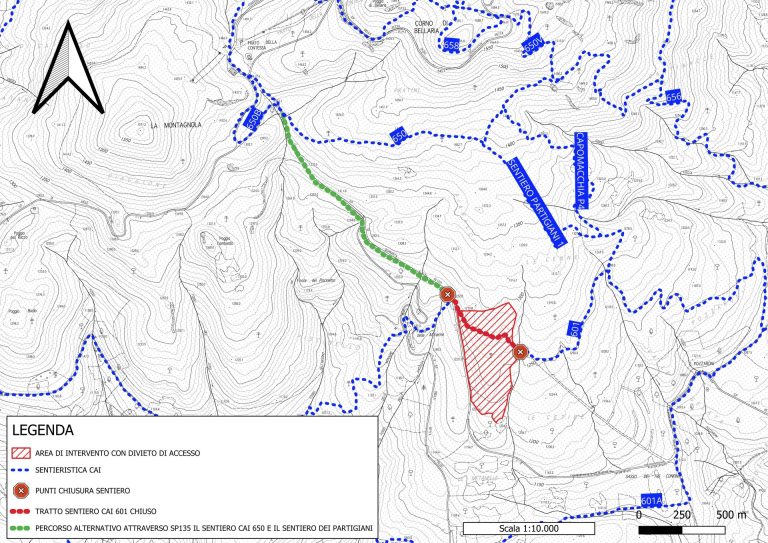 Presenza di cantiere forestale in loc. Le Cetine  Comune Santa Fiora