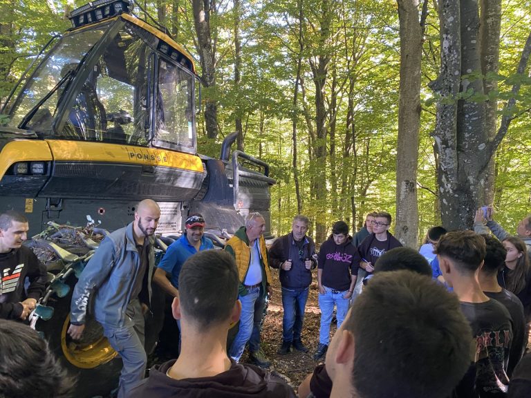 Giornata di animazione nel bosco