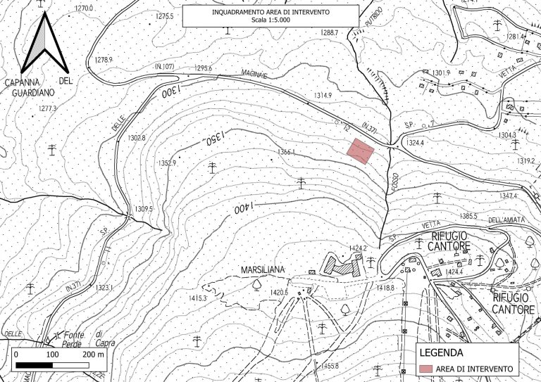 Presenza di cantiere forestale in loc. Pozzo Stella  Comune Seggiano