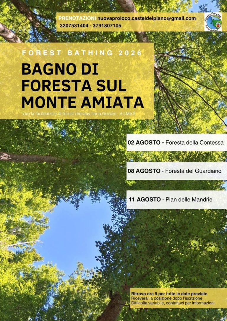 FOREST BATHING: Bagno di foresta sul Monte Amiata 2026 con la nuova  Pro Loco di Castel del Piano