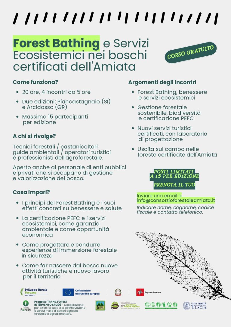 CORSO GRATUITO FOREST BATHING E SERVIZI ECOSISTEMICI